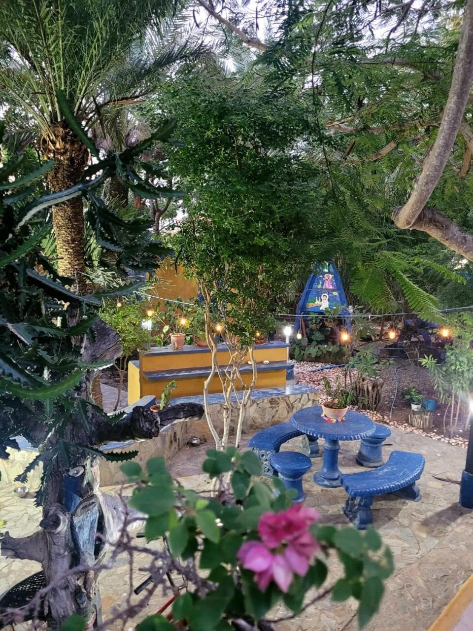 Steviewonderland Playa El Yaque酒店 外观 照片