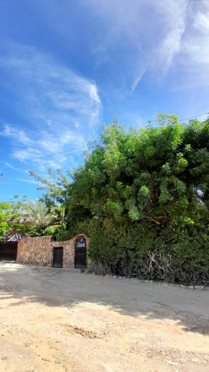 Steviewonderland Playa El Yaque酒店 外观 照片